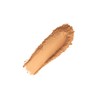 Napoleon Perdis Camera Finish Loose Powder 10g (Various Shades), Chestnut