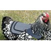 DOWN UNDER OUTDOORS 2 Pack Small Chicken Saddles for Bantams