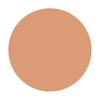Shiseido S101 Spots Cover Foundation (Base Color), 0.7 oz (20