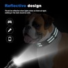 Collares reflectantes para perro de martingala. Collar para perro con