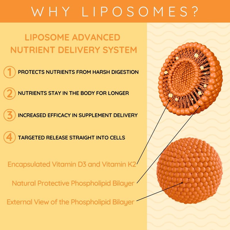WELL ACTUALLY Liposomal Vitamin D3 + K2 Liquid Pipette -