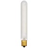 Westinghouse Lighting 0431900, 20 Watt, 130 Volt Frosted Incand T6.5