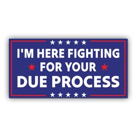 Magnet Sticker Due Process Magnetic I'm Here Fighting for Anti Funny Leftist Feminist Social Justice Human Rights Blue Magnet for Bumper, Refrigerator, Cruise Door, Car, Truck 7.5x3.75in