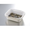 Richell Rectangular Colander & Vat, With Lid