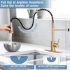 DJS Kitchen Faucets with Pull Down Sprayer Brushed Gold -Single
