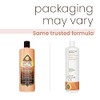 one 'n only Argan Oil Moisture Repair Shampoo Derived from