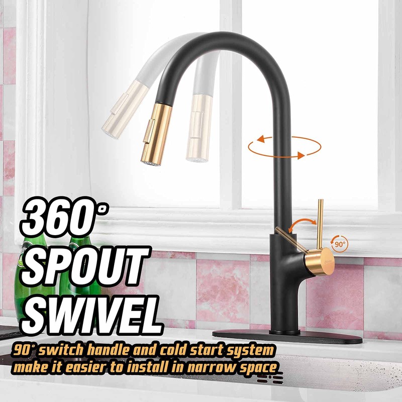 Achelous Black and Gold Kitchen Faucet with Pull Down Magnetic