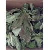 Fresh Leaves 8 oz (230 gram) or One Pound Dried