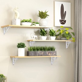 Metal Shelf Bracket Wall Hanging Iron Triangle Shelf Angle Right Angle Shelf Support Hanging Brackets with Screws for Garden Kitchen Bedroom 250 mm x 164 mm 1 Pair (White)