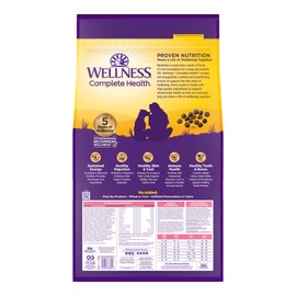 Wellness Complete Health Senstive Skin & Stomach Natural Adult Dry Dog Food, Salmon and Rice Recipe, 24 Pound Bag