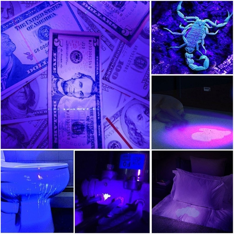 Portable 365nm UV Flashlight LED Black Light Torch for Pet