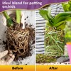 Riare 4QT Orchid Potting Mix for Repotting- Orchid Repotting Kit