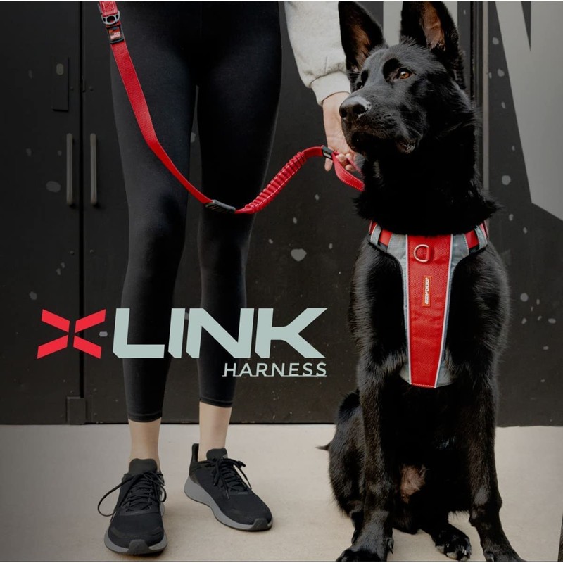 EzyDog No-Pull Dog Harness for Small Dogs, X-Link Anti-Pull Harness,