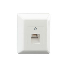 Rutenbeck 13411501/UAE Data Surface 6Real 1 Output 8-Pin White Polar