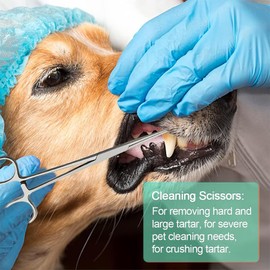 8 Pcs Dog Tartar Remover Pet Teeth Cleaning Tool, Cat Plaque Off Calculus Remover, Dog Tooth Scaler and Scraper, Stainless Steel Dental Forceps for Dogs and Cats Oral Care