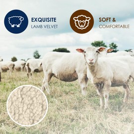 Insoles for Men and Women, Foam Insoles, Insoles for Men and Women, Soft Shoe Insoles, Comfort Insoles, Grey (43-44)