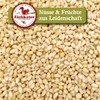 Eichkater Pine Nuts Medium Pack of 1 (1 x 500