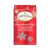 Twinings Gingerbread Joy Holiday Tea 20 Count (1.41 oz) 40g