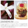 DANNY LIB Jasmine Incense Cone Incense Holder Set of 25