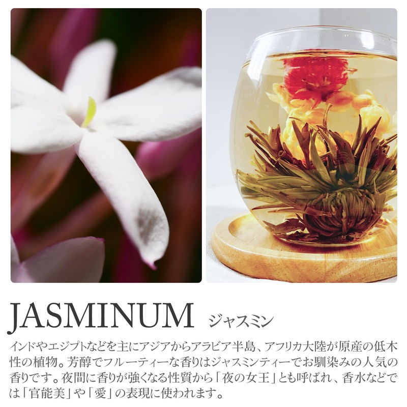 DANNY LIB Jasmine Incense Cone Incense Holder Set of 25