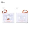 Clear Multi Case SS 1963 70th Anniversary History miffy, 1963