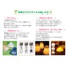 ASH Essential Oils 0.2 fl oz (5 ml) x 5