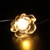 Noma Solar Fine Wire Lights, 50 Warm White Rose LED's