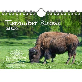 Tierzauber Bisons DIN A5 Kalender für 2026 Amerika - Seelenzauber
