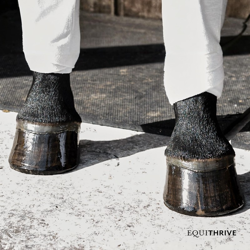 Equithrive Horse Hoof Supplement Pellets with Biotin, Chelated Trace Minerals,