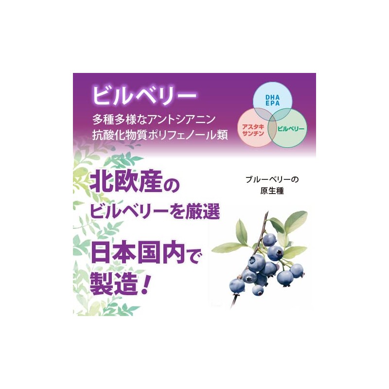 【公式】アイキーアップ DHA・EPA・アスタキサンチン・ビルベリー配合 飲みやすいソフトカプセル