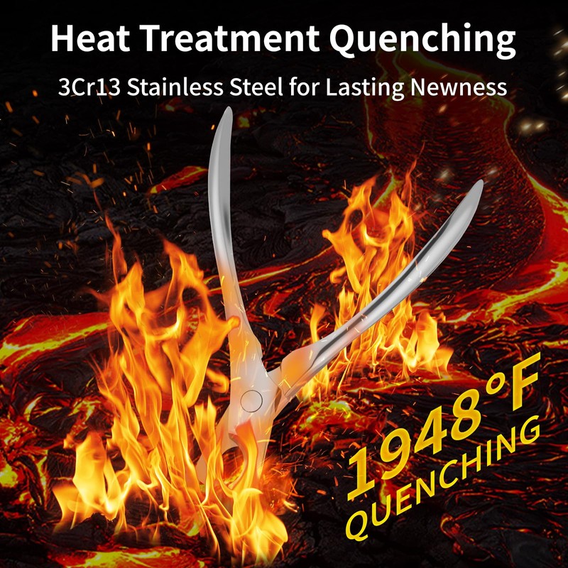 Professional Stainless Steel Dog Nail Clippers & Trimmers with Safety