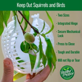 Rooted Promise Fruit Cage White (Pack of 48, Small)