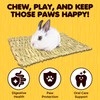 SunGrow Rabbit, Leopard Gecko & Guinea Pig Grass Chew Mat,
