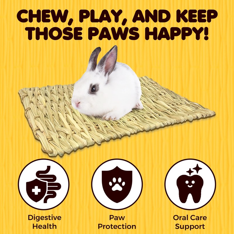 SunGrow Rabbit, Leopard Gecko & Guinea Pig Grass Chew Mat,