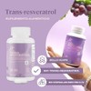 B-FIT TransResveratrol 1000mg - Cápsulas Vcaps