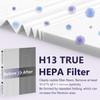 GoKBNY Aera-Max 200 2 Pack HEPA Replacement Filter, H13 True