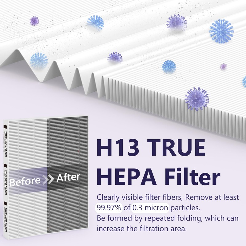 GoKBNY Aera-Max 200 2 Pack HEPA Replacement Filter, H13 True