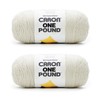 Caron One Pound Off White Yarn - 2 Pack of