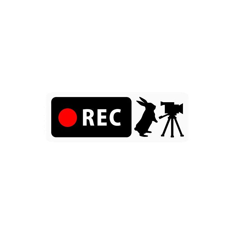 Dash Cam Sticker Bunny & Video Camera Banner Type (For