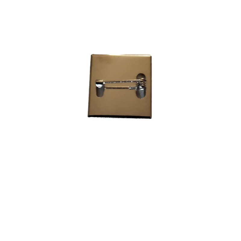 Pan-African Silver Colour Square Badge With A Velveteen Bag