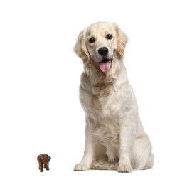 NOVICA Brown Animal Themed Teak Wood and Ivory Wood Sculpture, 3.9" 'Purposeful Elephant'