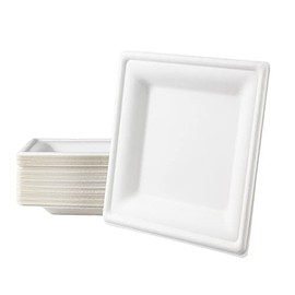 Love Nature Ecological Disposable Plate Set Square 20 cm Pack of 50 - Disposable Tableware Made of Sugarcane Pulp - Disposable Plate Biodegradable - Square Plate