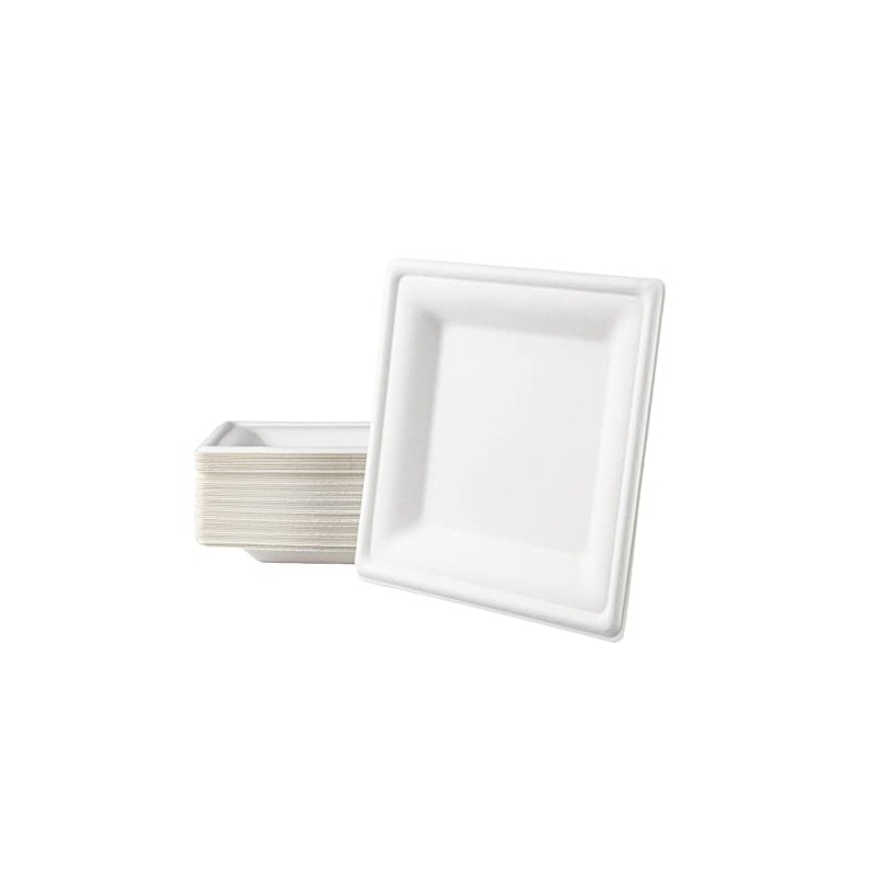 Love Nature Ecological Disposable Plate Set Square 20 cm Pack