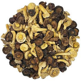 3 Type Mix Mushroom Chips, Shiitake, Button & Oyster Mushroom Chips – Crunchy, Natural Snack – Healthy (16 Ounce)