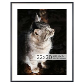 RICHFOCUS Aluminum Picture Frame - 22x28 Black Metal Frame with Mat for 18x24 Photo, Floating Frame with Tempered Glass - Poster Frame Wall Hook Included for Gallery Wall