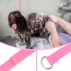 Hypeety 6 Pcs Bulk Pack Slip Leads Dog Pet Grooming