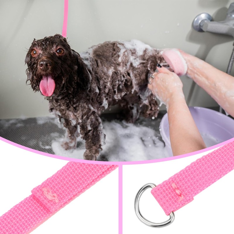 Hypeety 6 Pcs Bulk Pack Slip Leads Dog Pet Grooming