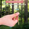 100Pcs Cocktail Sticks for Food Biodegradable Fruit Stick Bamboo Skewers