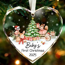 Baby's First Christmas Ornament 2025, Crystal Glass 1st Christmas Ornament for Baby Girl Boy Christmas Newborn Gifts Keepsake Babys 1st Year Ornaments 2025
