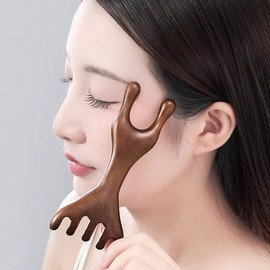 Gua Sha Massage Comb Scalp Facial Dual Gua Sha Comb DD-13015 / 괄사 마사지 빗 두피 얼굴 듀얼 괄사빗 DD-13015